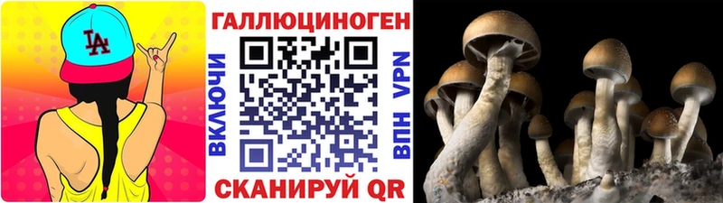 Псилоцибиновые грибы Cubensis  купить наркотики сайты  Горячий Ключ 